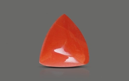 Red Coral - TC 5014 (Origin - Italy) Limited - Quality